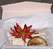 Load image into Gallery viewer, Decorative Fragrance Diffuser Gift Set #B247-18 (PICKUP) SALE PRICE