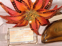 Load image into Gallery viewer, Decorative Fragrance Diffuser Gift Set #B247-18 (PICKUP) SALE PRICE