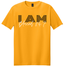 Load image into Gallery viewer, I AM Blessed 24:7® T-shirts FREE SHIPPING