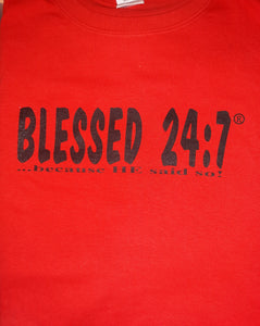 CLOSEOUT T-shirt Sale 4XL / 5XL FREE SHIPPING